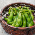 Edamame - JUN.COM.SG